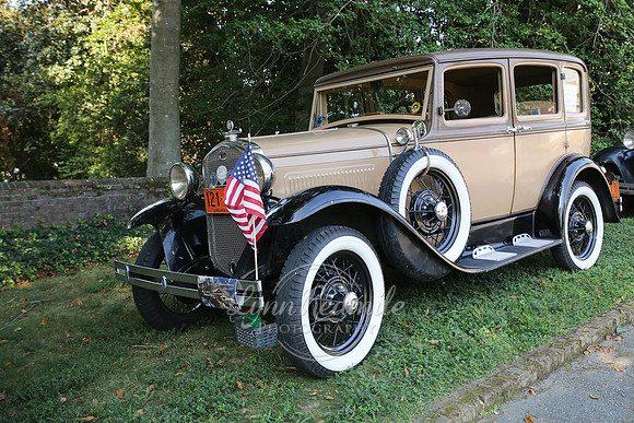 ADSVA 2019 Picnic 008