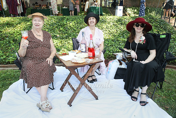ADSVA 2019 Picnic 034