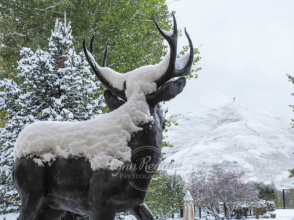 Sun Valley 2019 Jazz Festival 314