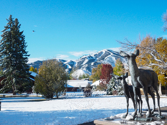 Sun Valley 2019 Jazz Festival 321