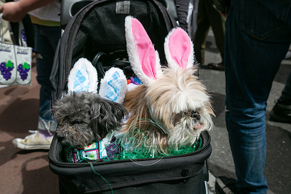 Easter Parade 2022 -72