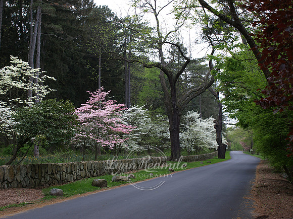 Duke's Estate in Spring