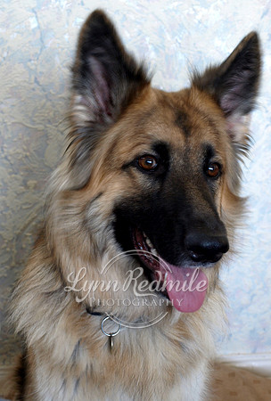 Sheena