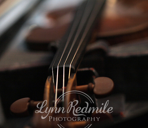 Violin
