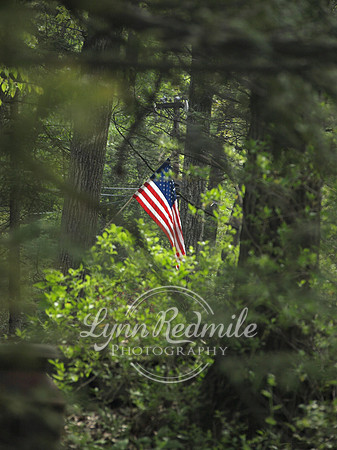 Stars and Stripes