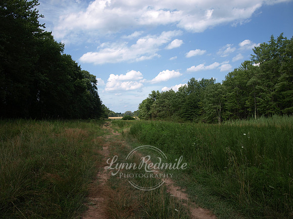 New Jersey path