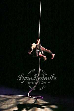 Mischief Rascals Altitude 229