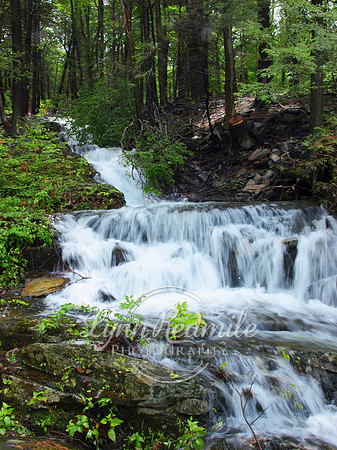 Waterfalls