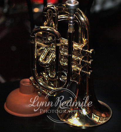 Resting Cornet