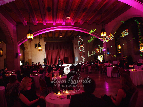 DOV Valentine's Ball 009