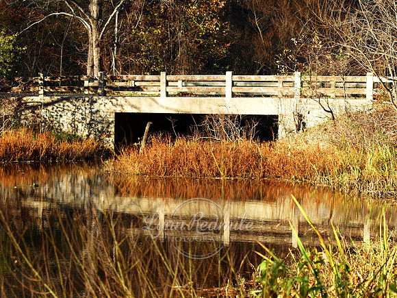 Harriman State Park, New York